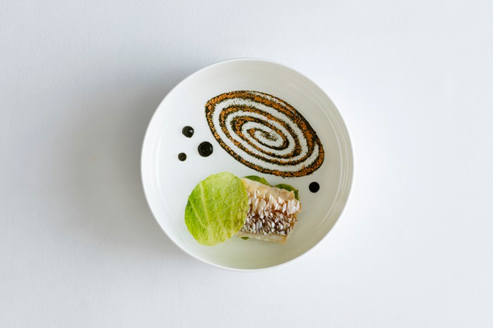 Amber grilled fish on white plate